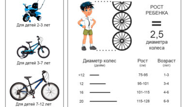 Photo of Выбор подходящего размера детского велосипеда